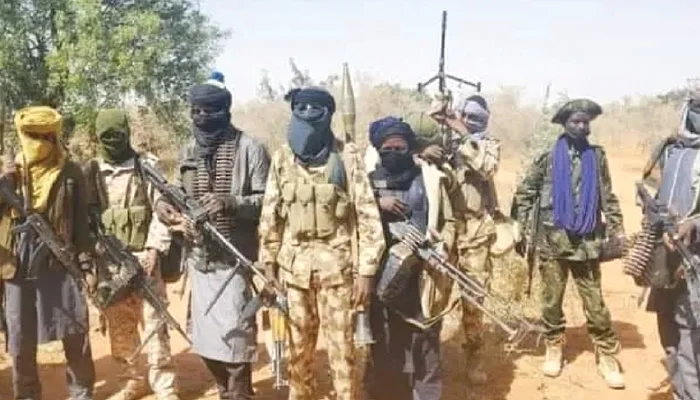271 children among 484 displaced in fresh Zamfara bandit attack — IOM 1 Bandits