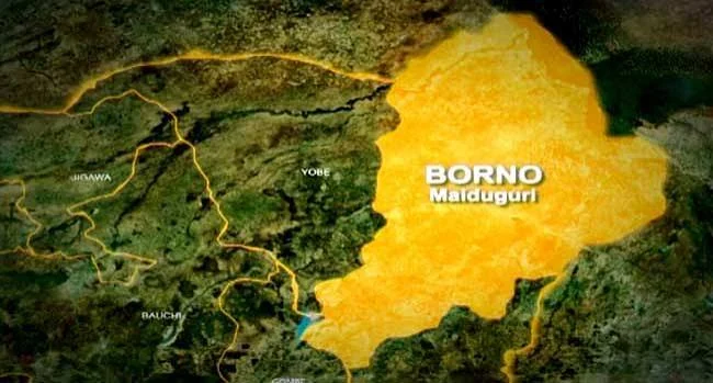 UPDATED: Police comb forest after terrorists abduct NECO students in Borno 1 Borno Map