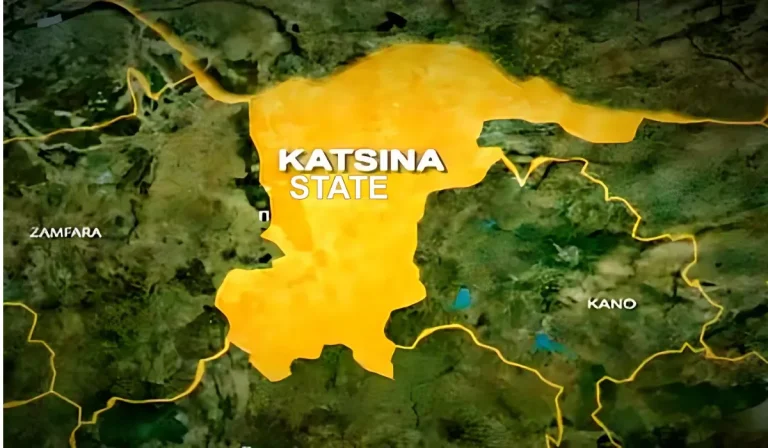 UNICEF, UK launch climate-resilient project in Katsina 1 Katsina map 768x448 1