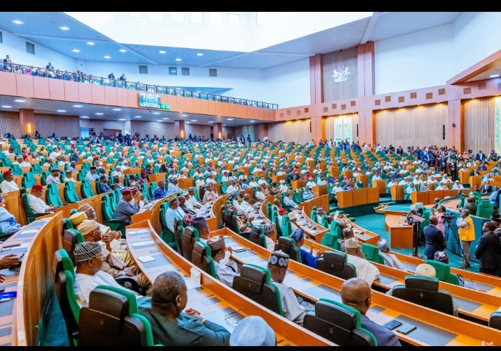Rep member, Agbese writes Tinubu, rejects NYSC reforms, gives reasons